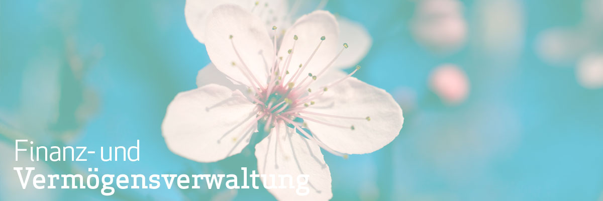 rg-hasuverwaltung-finanz