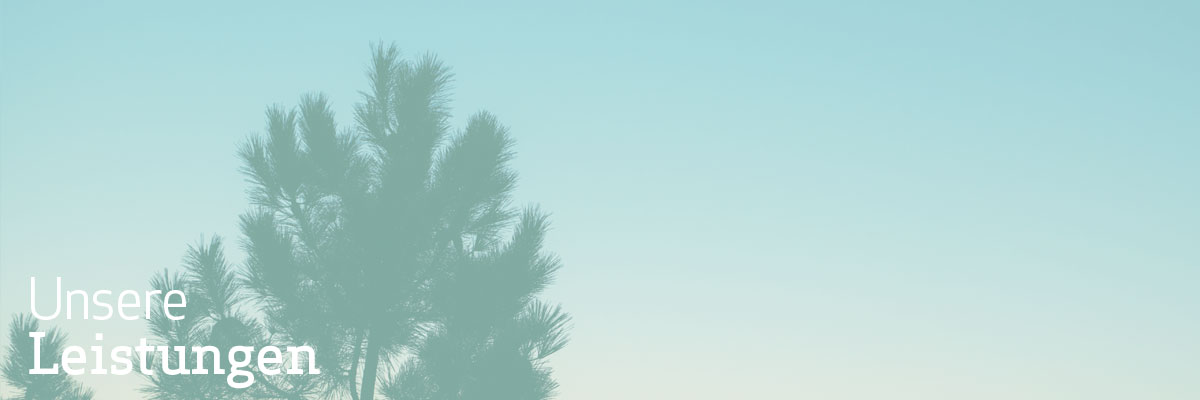 rg-hasuverwaltung-leistungen