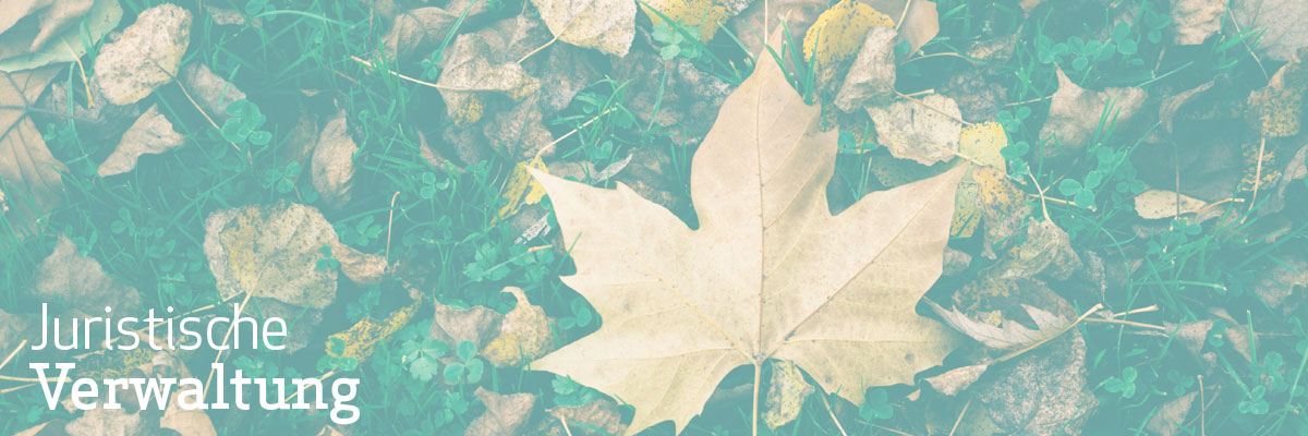 rg-hasuverwaltung-verwaltung